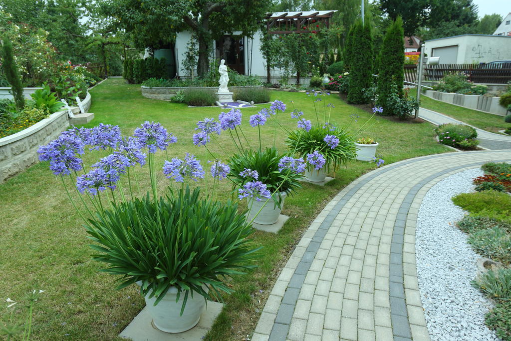 Pension Clajus Hotel Weimar  Exterior photo